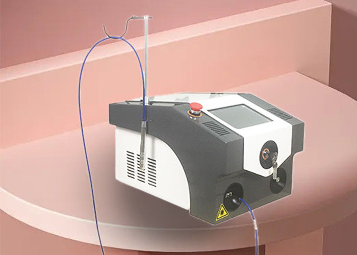 Lunghezza d'onda di CA 220V/110V 50HZ/60HZ 5A/10A 980nm di trattamento del laser di nanometro KTP dell'ABS 532