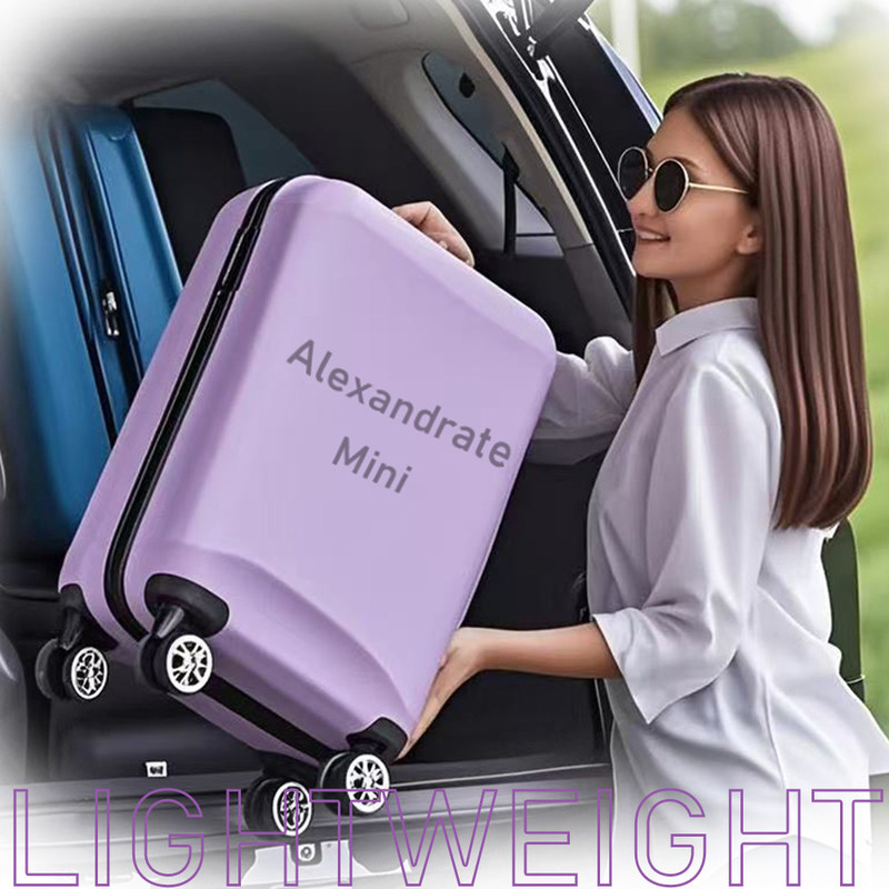 Apparecchiatura di bellezza portatile Alexandrite Mini Smart Touch Alimentazione Parte Bison Light And Easy 755nm Mini Macchina Alexandrite 755nm Rimozione dei peli laser