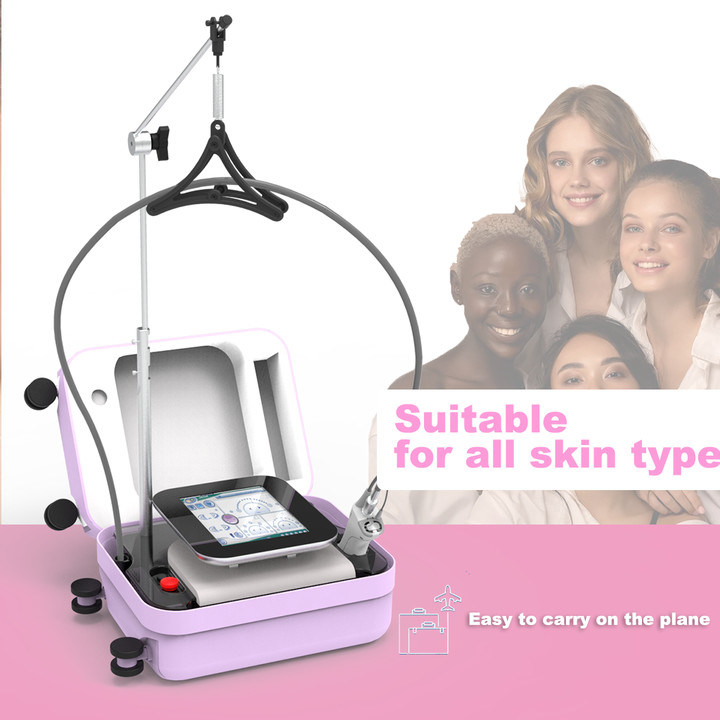 Apparecchiatura di bellezza portatile Alexandrite Mini Smart Touch Alimentazione Parte Bison Light And Easy 755nm Mini Macchina Alexandrite 755nm Rimozione dei peli laser